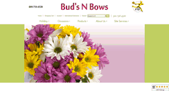 Desktop Screenshot of budsnbows.com